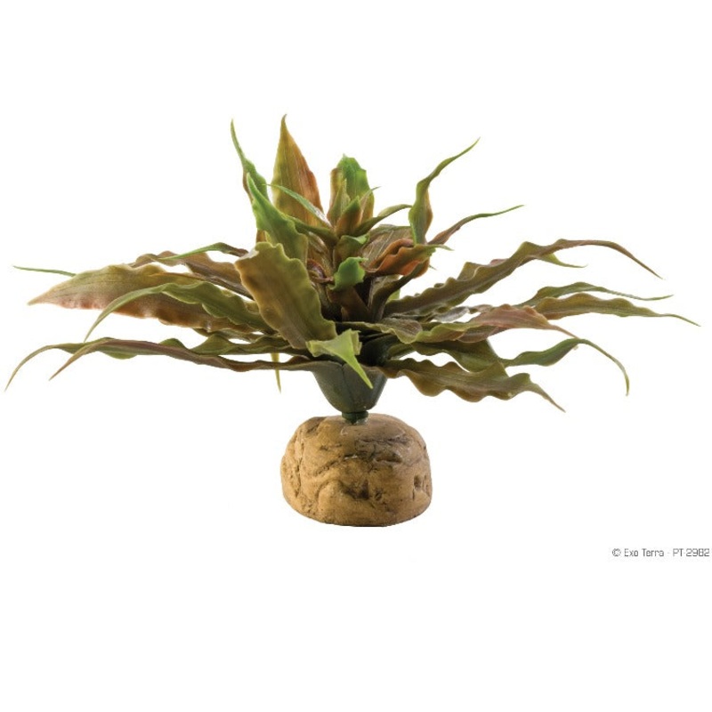 Exo Terra Plastic Terrarium Plant – Earth Star Cactus