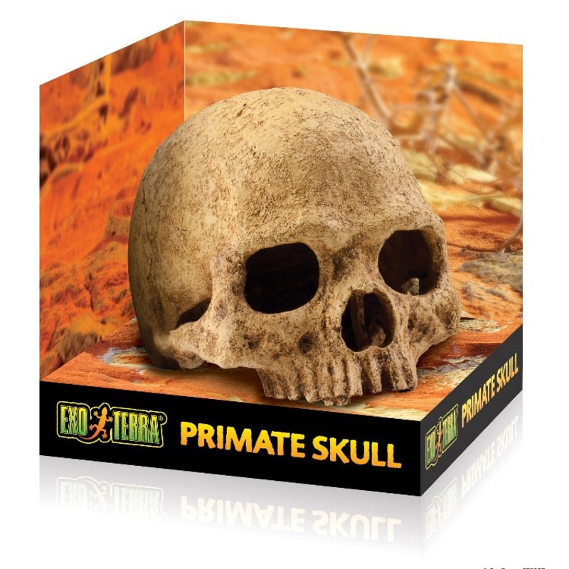 Exo Terra Primate Skull Hideout – Large