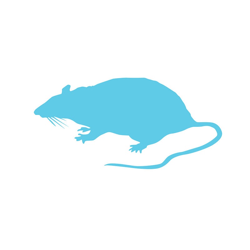 Frozen Rat X-Large 350g+ Barcode 2-pack