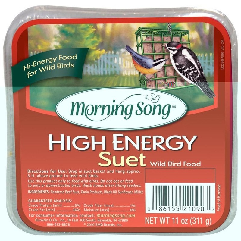 MORNING SONG HIGH ENERGY SUET 11 oz