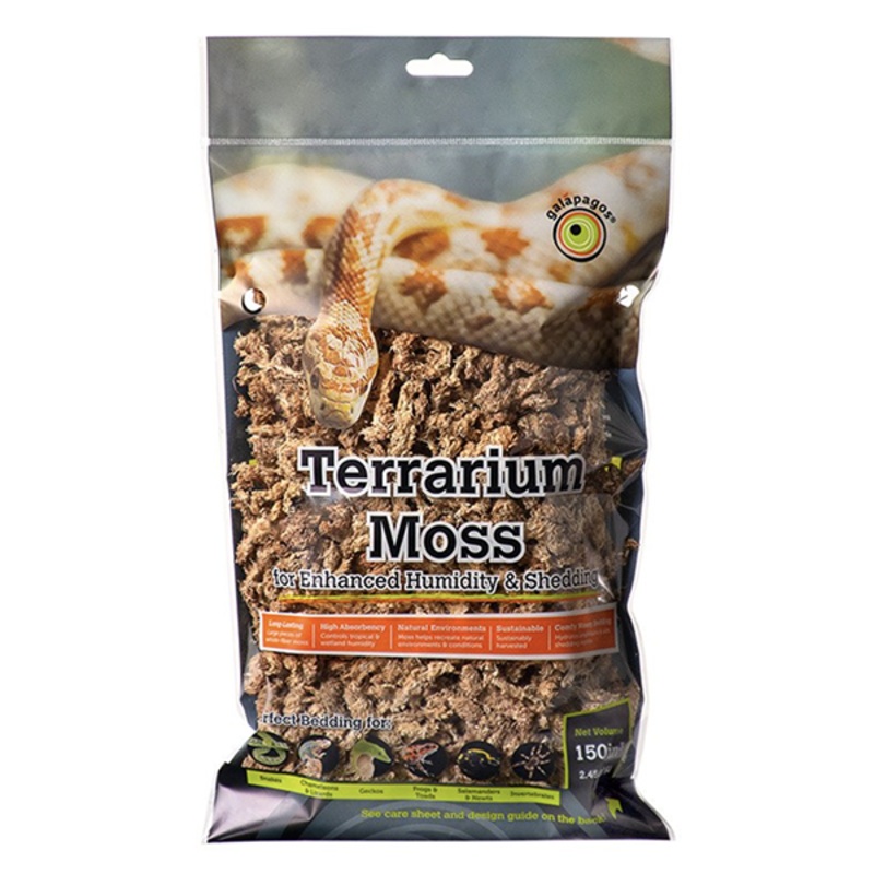 Sphagnum Moss Golden Humidity & Decorative Clumps for Tropical & Forest Terrariums 150 cubic inches