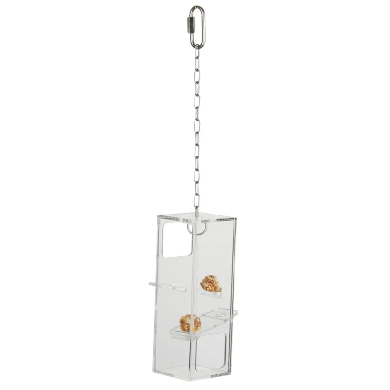 Bird Plunk Game  Engaging Foraging Toy for Birds