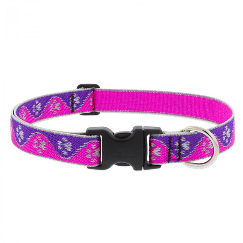 Lupine Adjustable Dog Collar 1″ Wide X 16″-28″ Neck Size High Lights Pink Paws