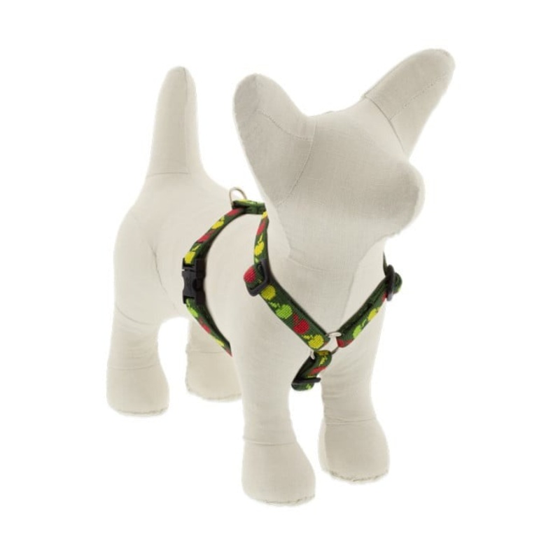 Lupine MicroBatch Roman Dog Harness 1/2″ x 9″-14″ Apple Season