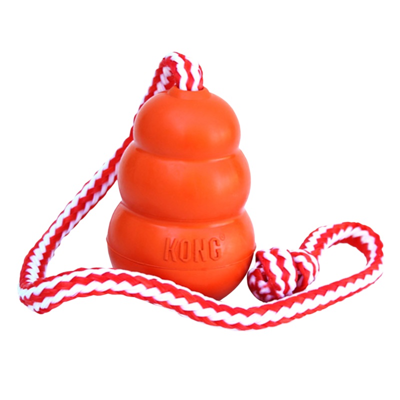 Aqua Kong (Large) | KONG