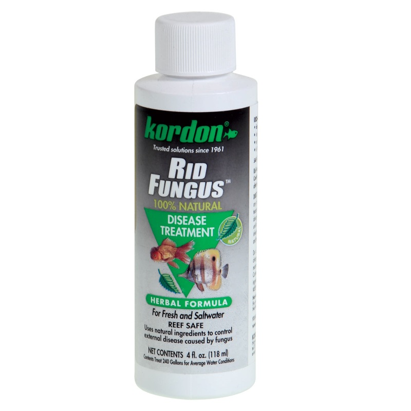 Kordon Rid Fungus 4 oz.