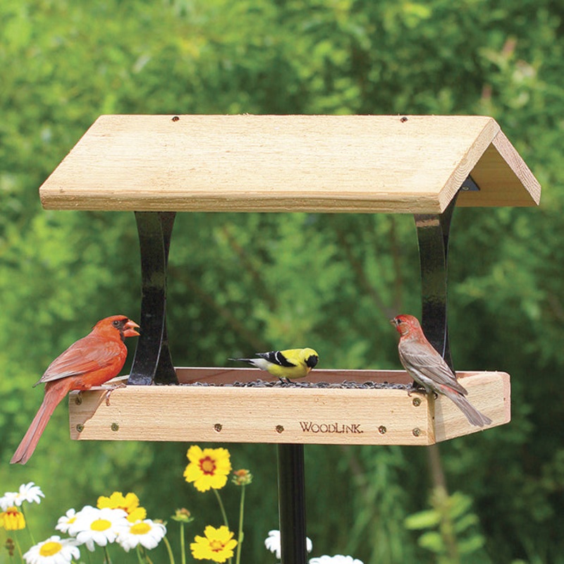 Platform Feeder
