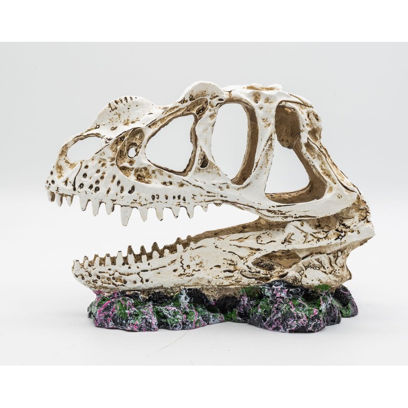 ProRep Resin Ceratosuarus Skull, 19cm