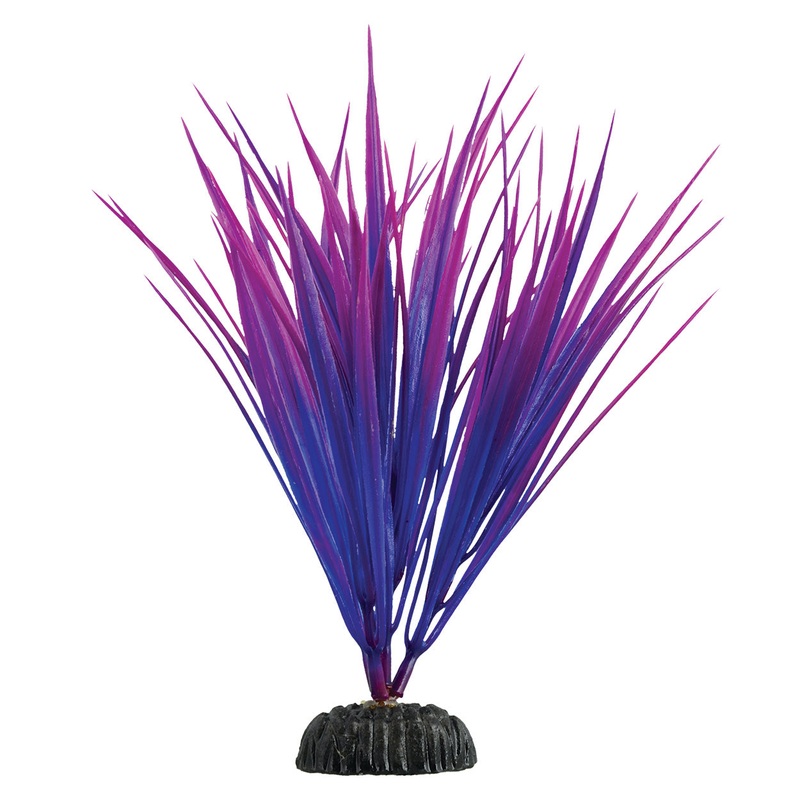 Underwater Treasures Purple Nile Grass Plant 8 inch
