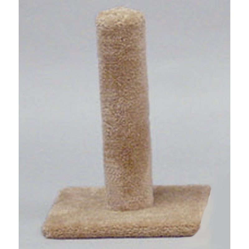 Classy Kitty Cat Post 20″