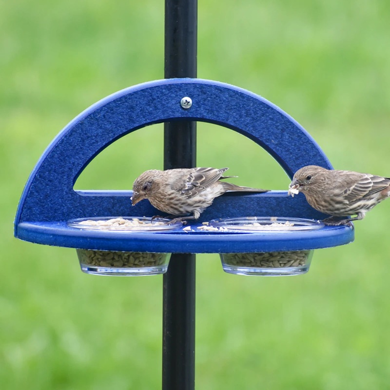 Duncraft Pole Mount Mealworm Dish Feeder