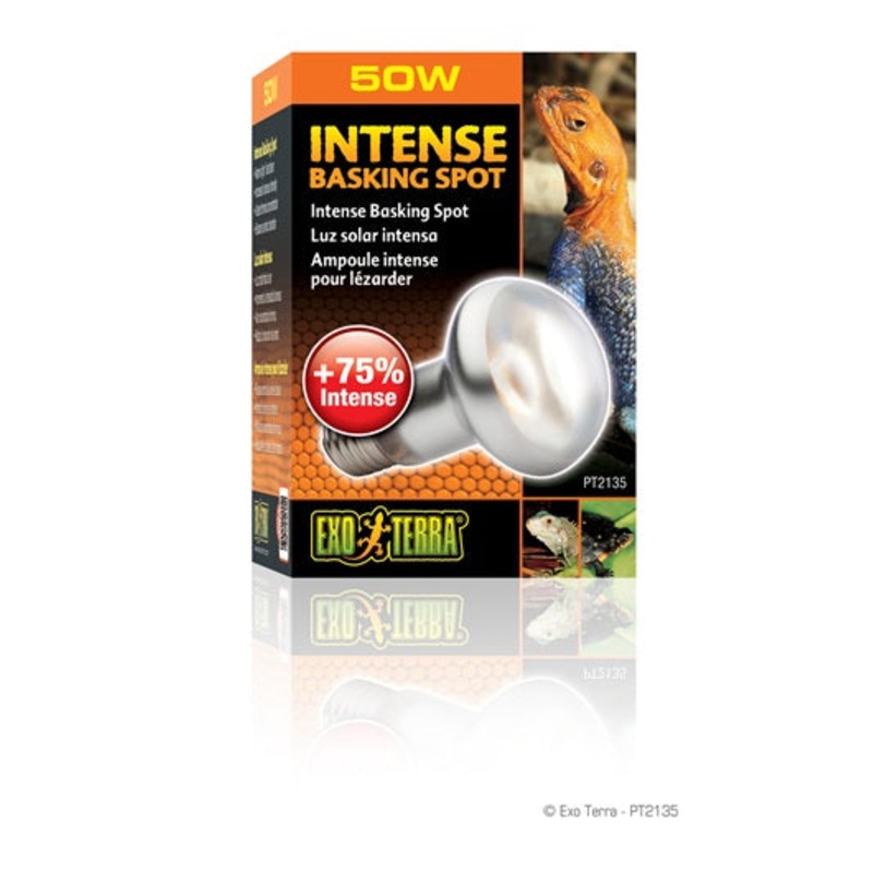 Exo Terra Intense Basking Spot Lamps 50W/S20
