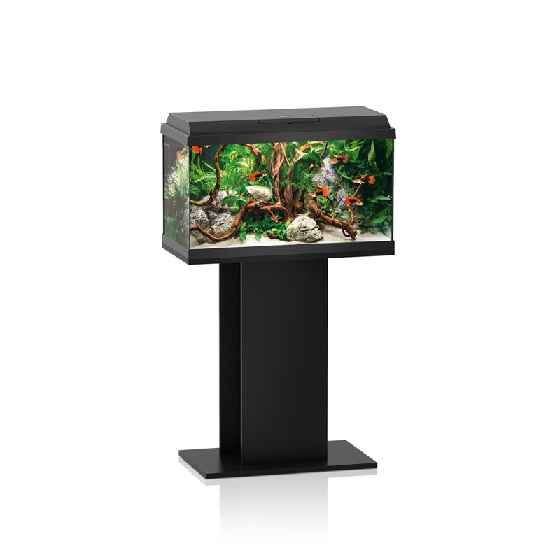 REKORD 600 Stand SB – Black 60/50