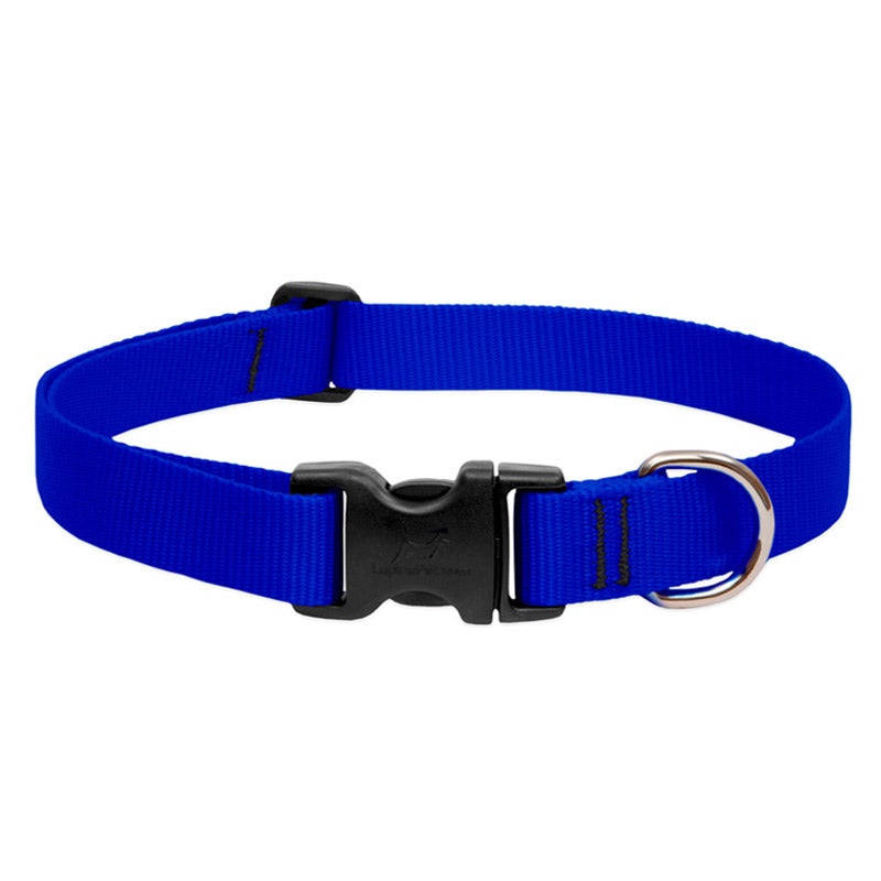 BASICS Adjustable Collar BLUE 3/4 FOR MEDIUM DOGS – 15″-25″