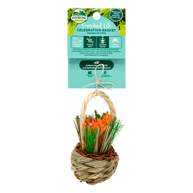 Enriched Life Celebration Basket Small Animal Chew Toy 3-in x 2-in x 9-in