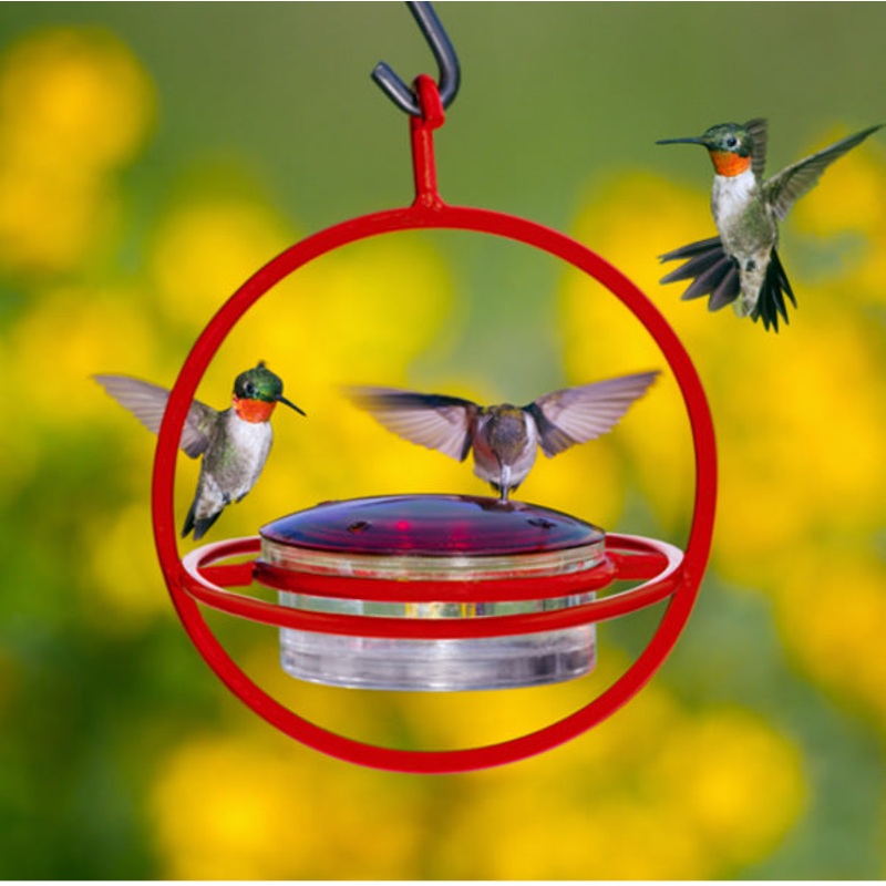 Hanging Sphere Hummingbird Feeder with Red Perch