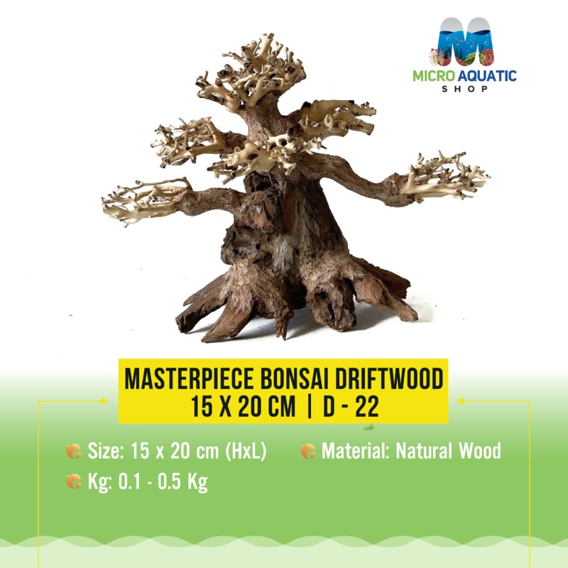 Masterpiece Bonsai Driftwood – 15 x 20 cm | D – 22