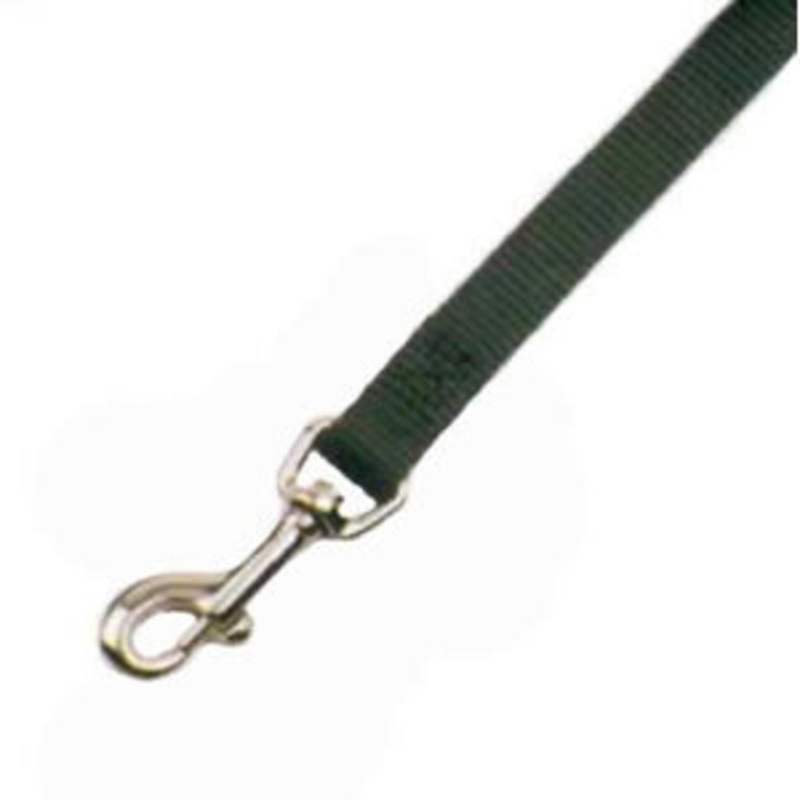 Valhoma Chicken Leash- 6 Foot (Pink)