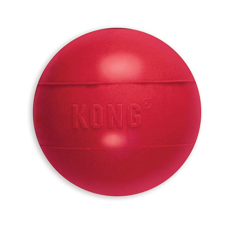 KONG Ball Dog Toy (Small)