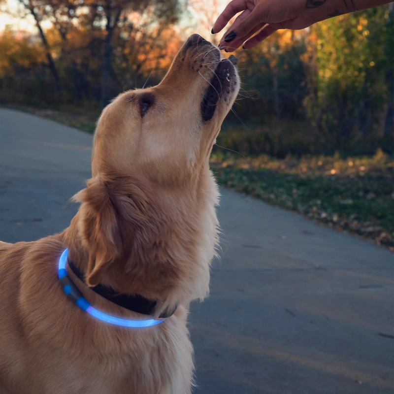 Nite Ize NiteHowl LED Light Dog Safety Collar – Green